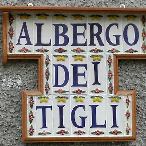 Dei Tigli Hotel